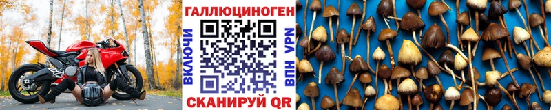 Галлюциногенные грибы Cubensis  hydra онион  Нижняя Тура 